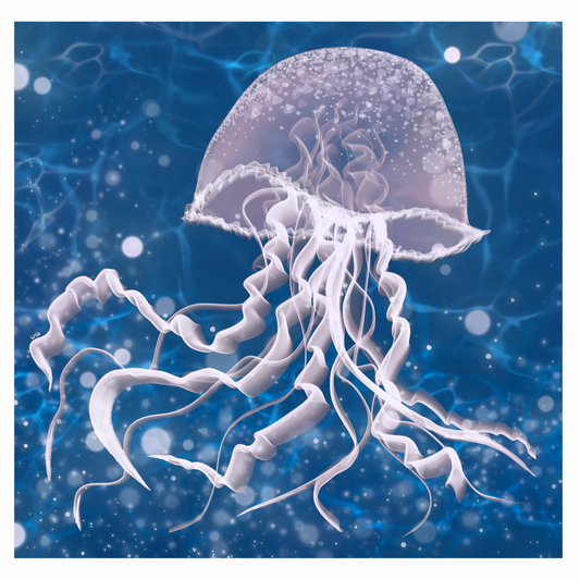 Jellyfish